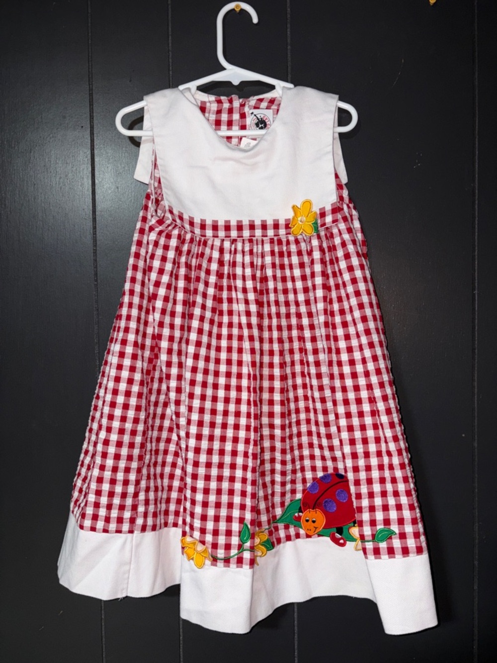 Red Gingham Kids Dress with Ladybug Applique